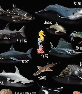《盗贼之海》打巨齿鲨奖励介绍