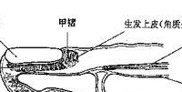 最后的咒语多段攻击是什么