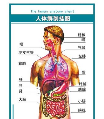 潜渊症电池在哪里获得